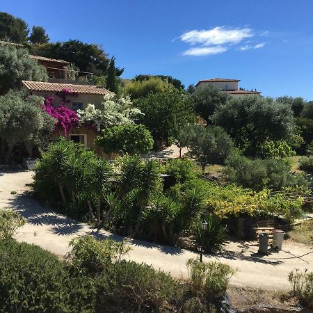 Les Terrasses Sur Mer Ollioules Luaran gambar